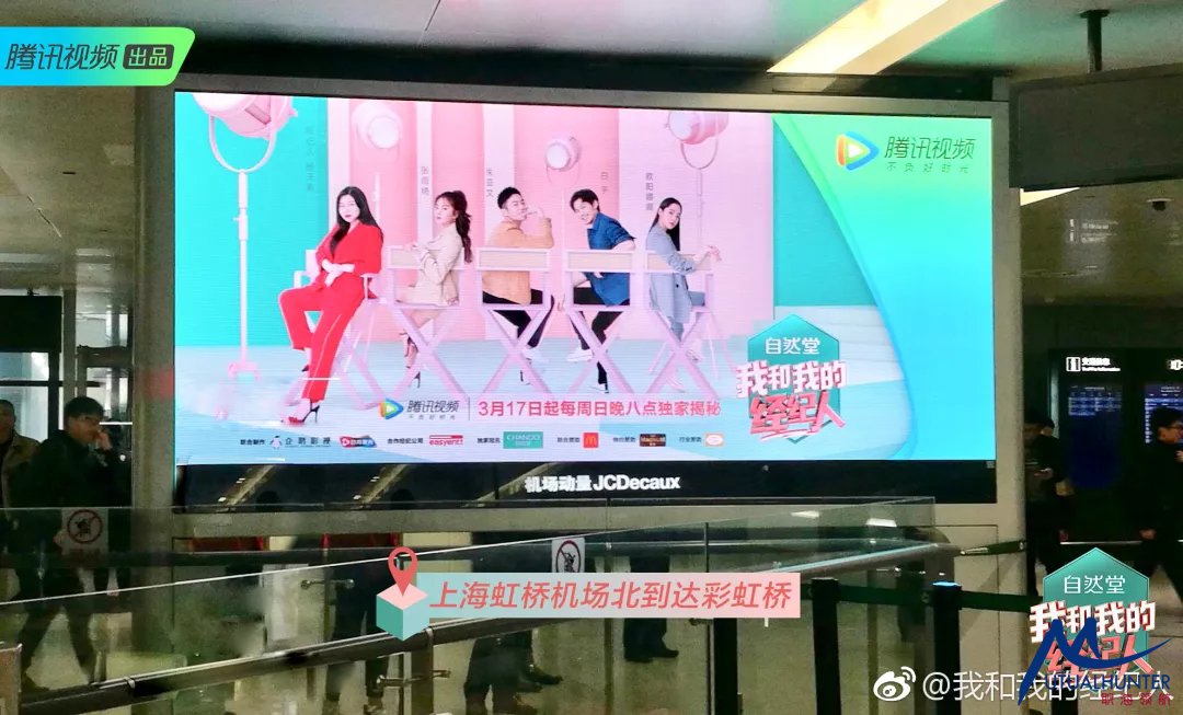 我和我的经纪人第1季,我与我的经纪人第三期