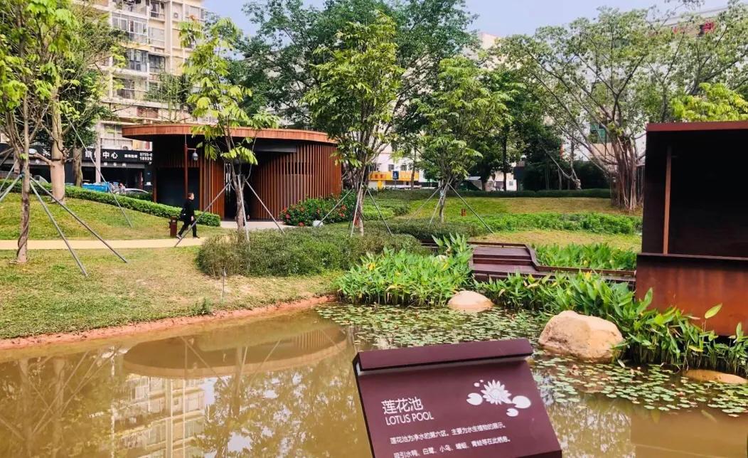 深圳适合小朋友好玩的地方推荐,深圳十个值得带孩子玩的地方