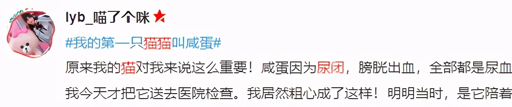 男言之隐怎么样,男言之隐介绍