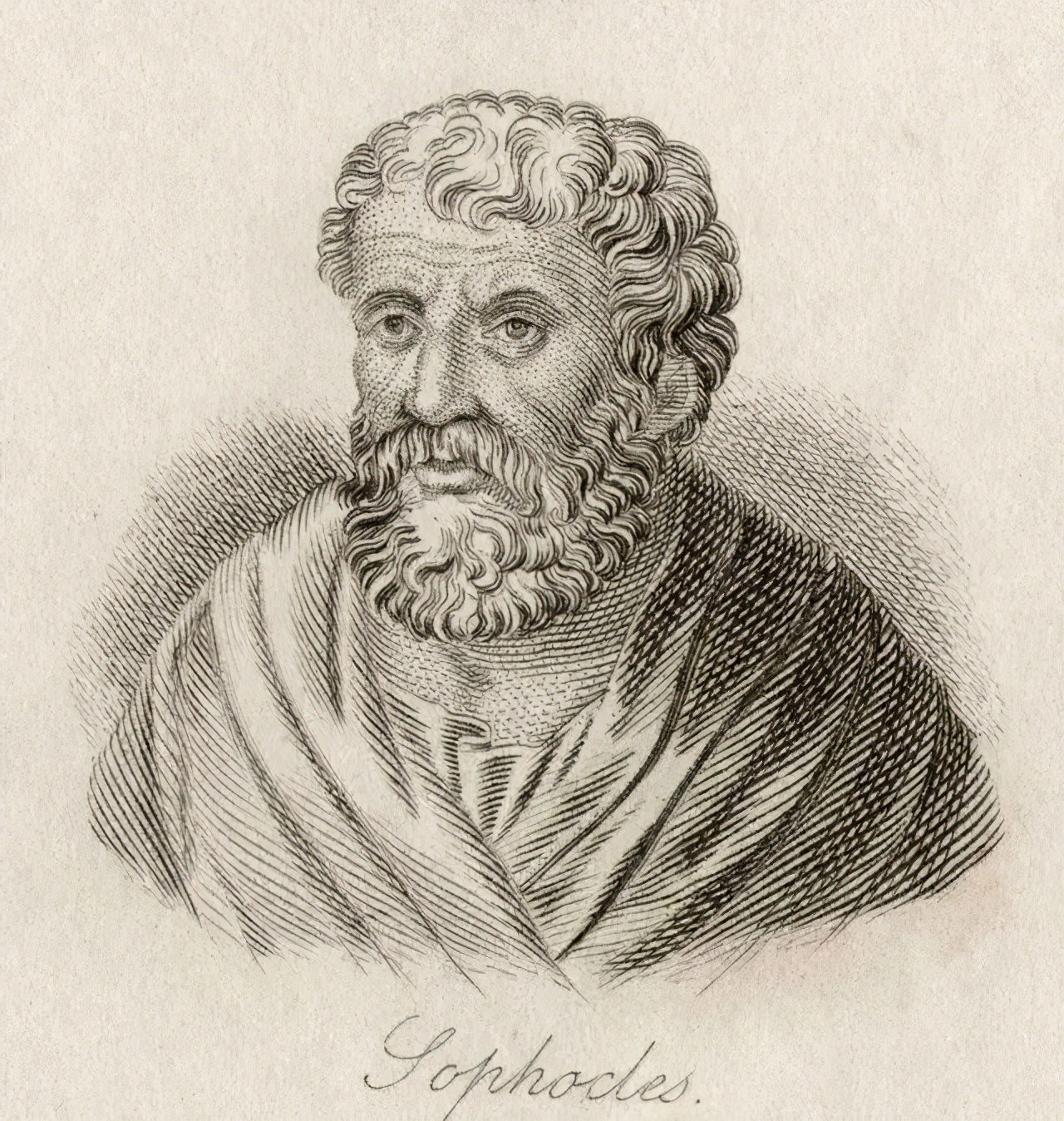 书讯|《沉重的肉身》