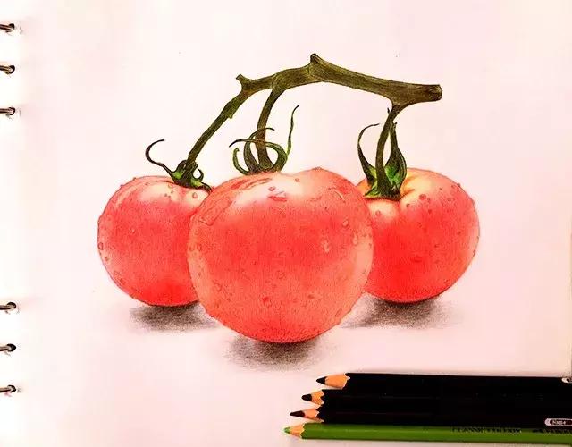 儿童彩铅画番茄,彩铅画写生番茄