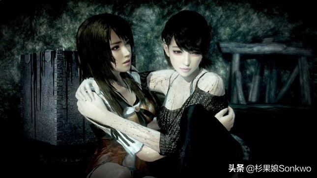 零濡鸦之巫女ns测评,wiiu零鸦之巫女评测