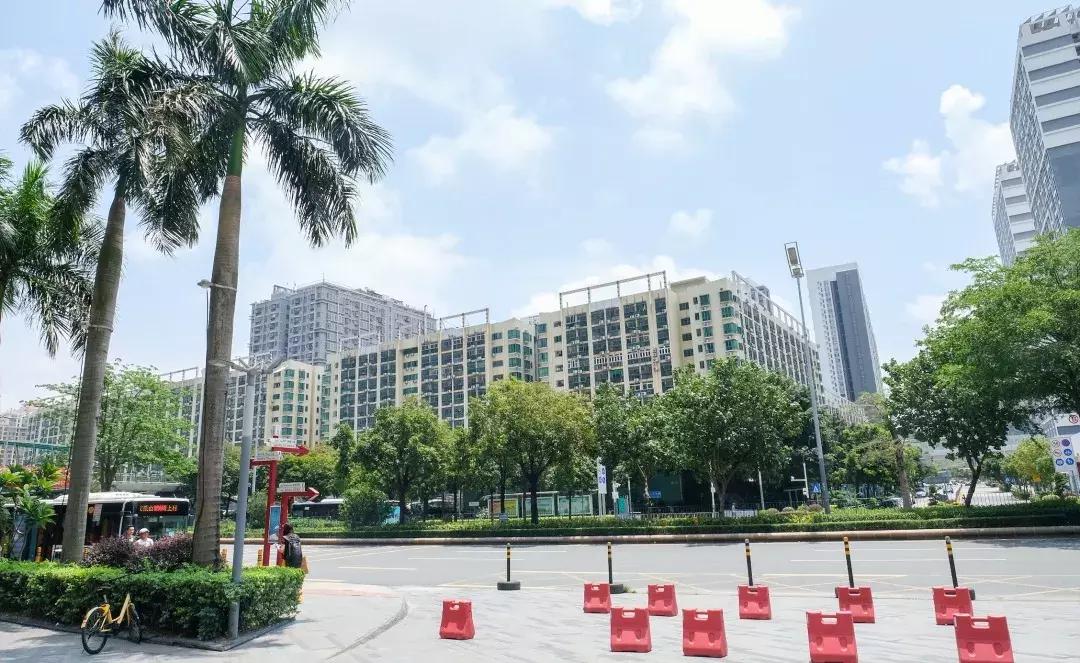 这里是观澜,下一站民治