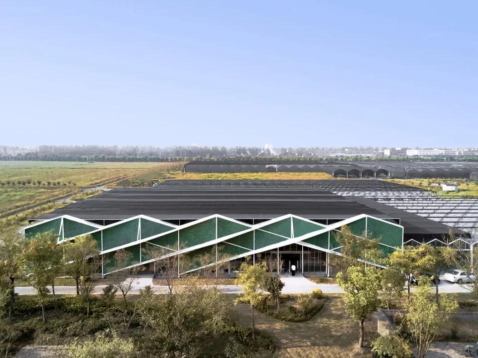 中国最美的乡村振兴村,乡村振兴示范点项目实施方案