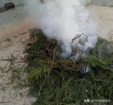 如果在野外没有水和食物怎么办,夏天无冰箱如何保存肉类