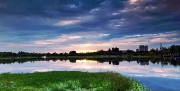 双流上私立小学要什么条件,成都公立小学怎么选