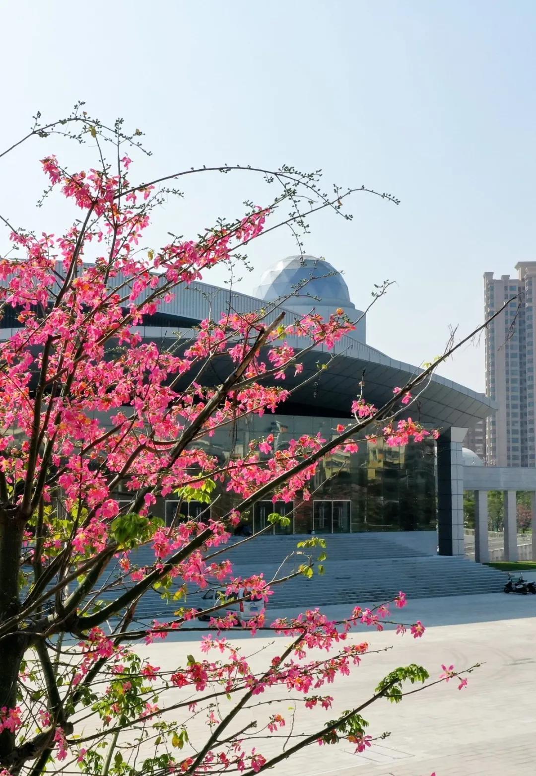 珠海买房过冬真实感受,在珠海买房十大秘诀