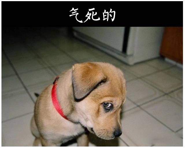 销售的最高境界掌握三大魔鬼法则,顶级销冠的6种销售话术绝招