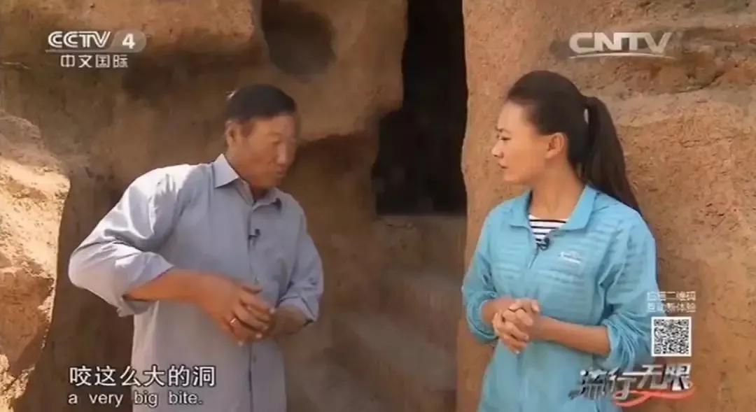 哈士奇养成狼,狼被养成了哈士奇