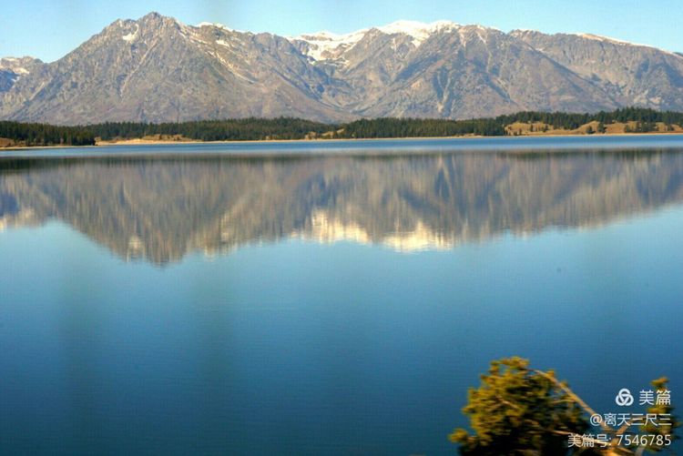 鍖楃編鏋儏闃虫柊,鍖楃編鏋儏鍥剧墖