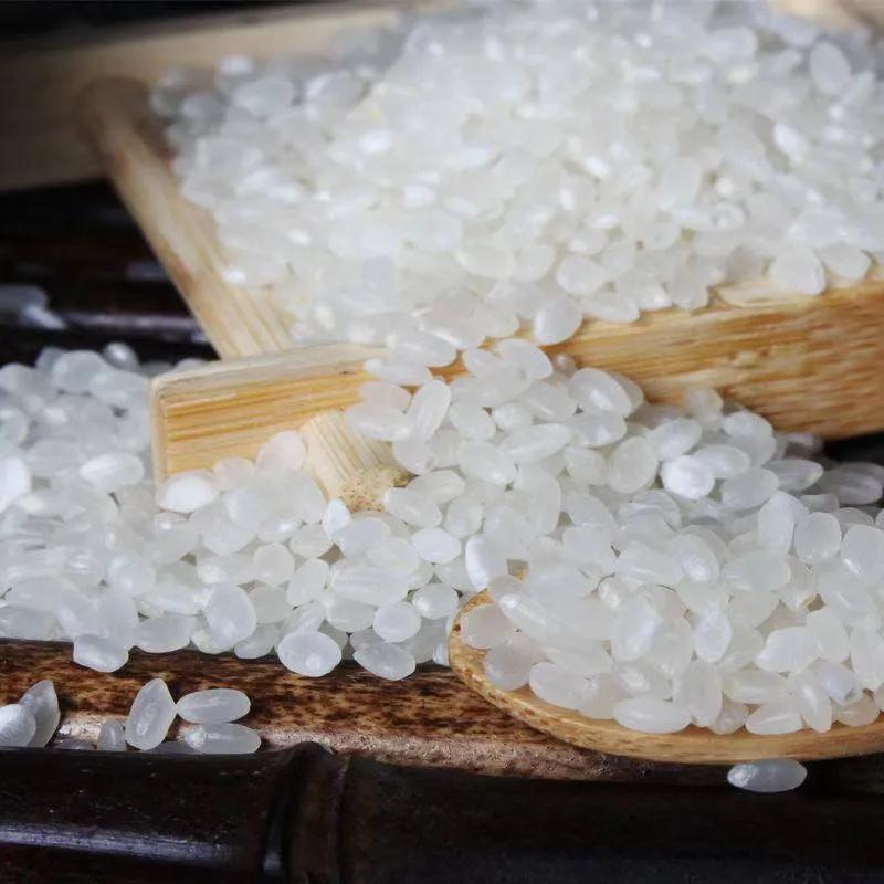 银川特产哪里便宜,银川水果特产