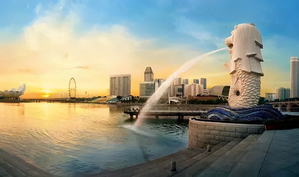 出国医疗机构哪个最好,亚洲排名第一的医院