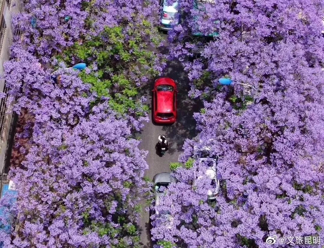云南人注意啦!25种方法检验你有没有在昆明生活过,一看真灵!