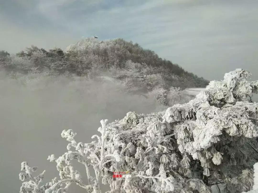 此刻泰山成了雪国,美到无言!高清美图来袭,“雪国的列车”即刻发车!