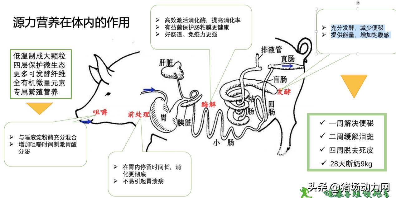 三废分别有哪些危害,三废排放的危害
