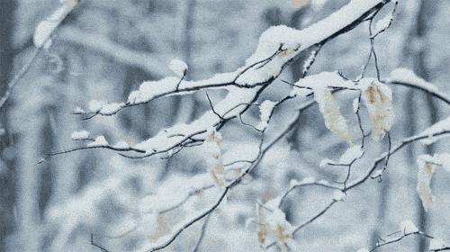 “今天下雪了”不是Itsnowstoday，别再说错了