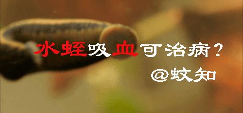 水蛭吸血可治病?结果几百年前的西方人因此导致梅毒的交叉感染
