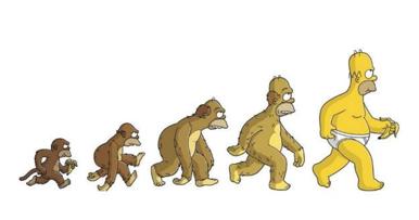 人类进化背后的万年相亲博弈:我们的祖先也爱酷哥