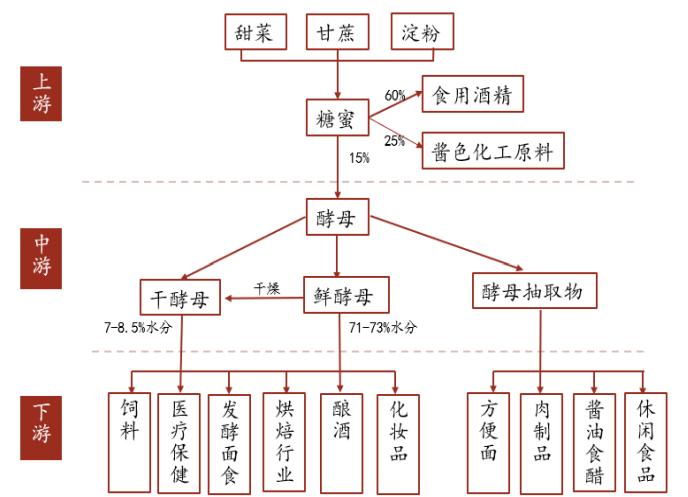 安琪酵母发酵产物,安琪发酵需要放碱面吗