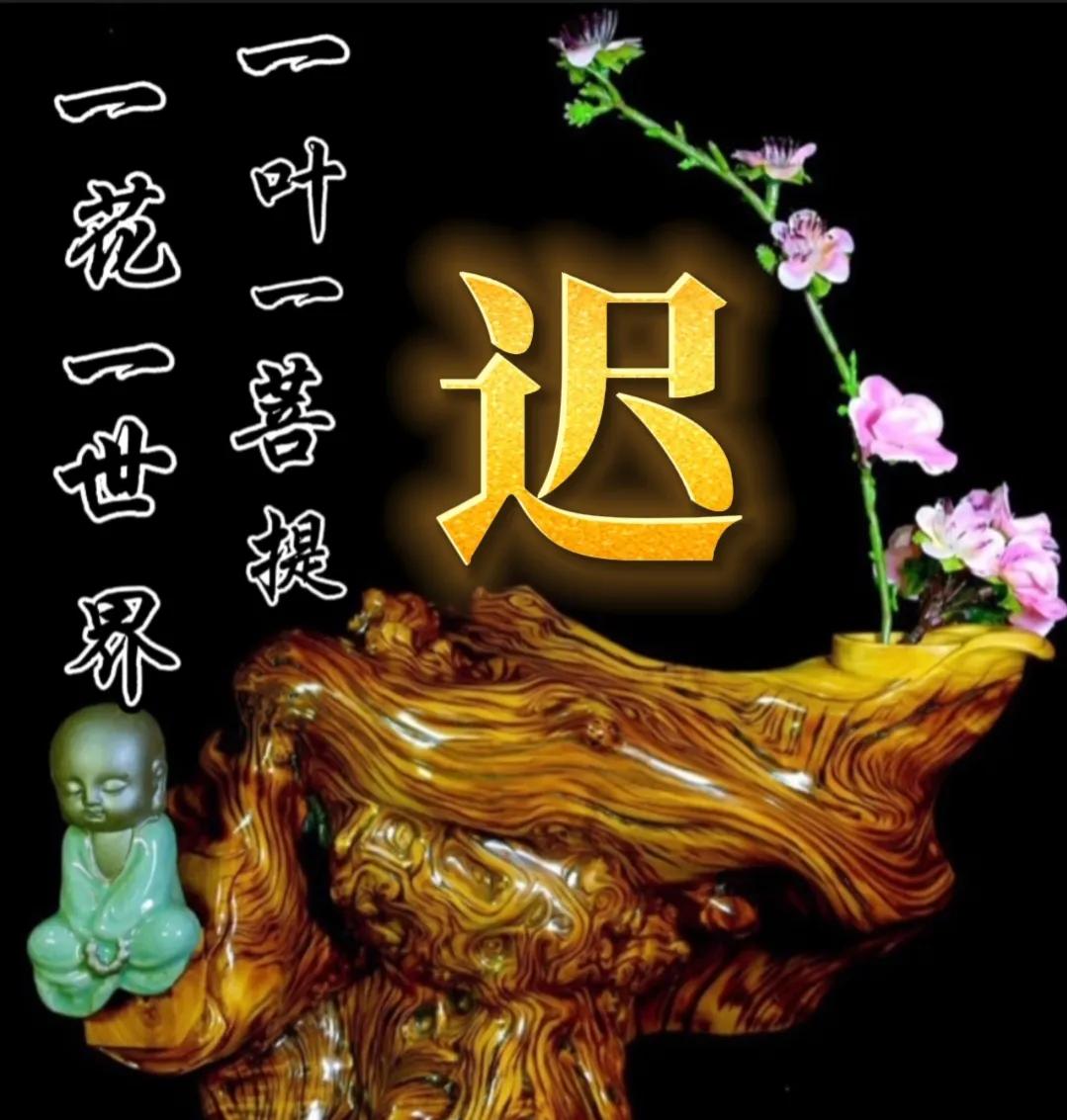 一花一世界一叶一菩提头像,一叶一菩提禅意微信头像