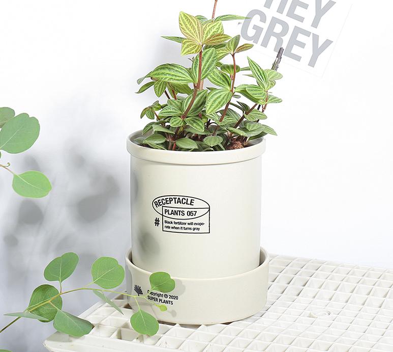 教师节送老师什么样高端的贺卡,教师节到了送什么贺卡比较好呢