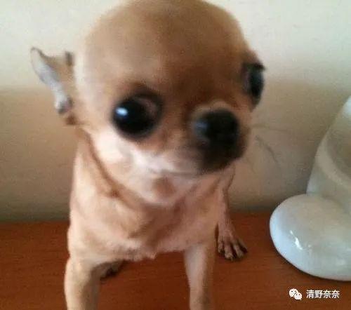 方脸短下巴难看,方圆脸怎么改善脸型下颚线高