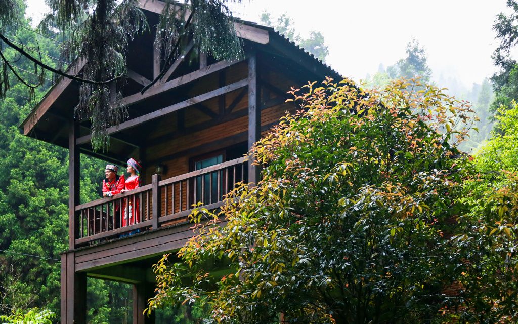 恩施坪坝营国家森林公园视频,咸丰坪坝营国家森林公园