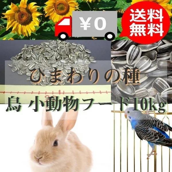 纳尼?为什么日本人不会嗑瓜子?看到中国人单手“吃”惊呆!