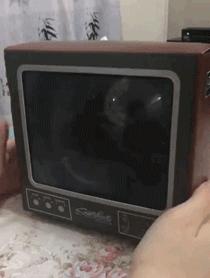 盘点某宝“辣鸡货”，这些单品不要买