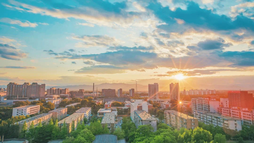 北京林业大学为什么排名靠后,北京林业大学学科水平