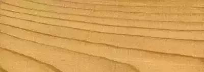 柴木是什么树种,柴木是什么