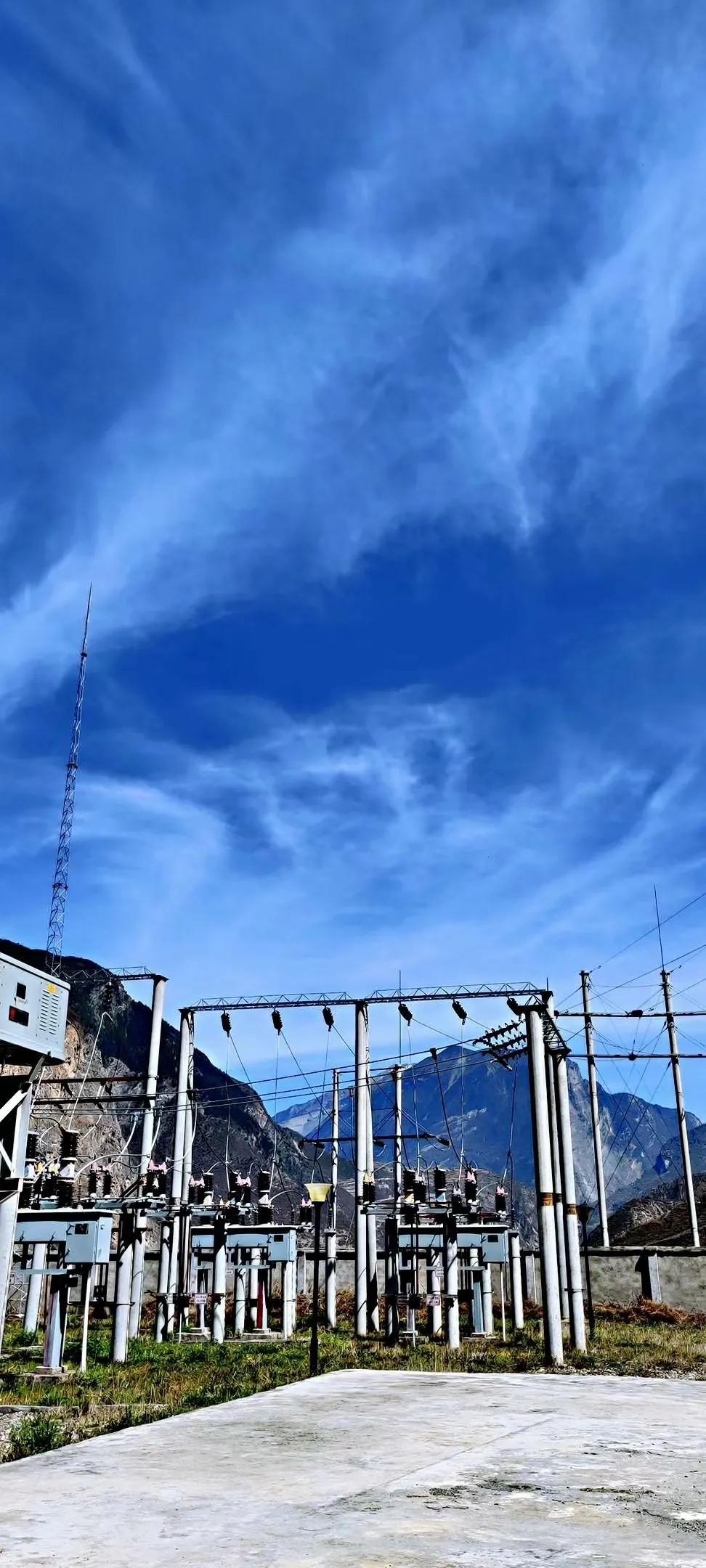 我们和流浪狗本质上没有什么不同,狗狗和流浪狗的故事真的很多