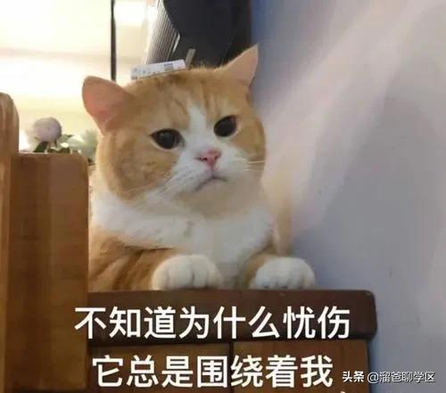 一条马路之隔房价差距大,相隔一条街房价差几倍