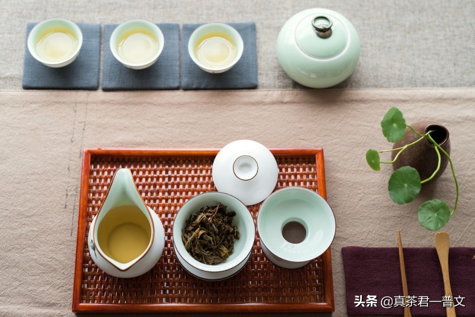 为什么我坚决不喝乌龙茶了呢？加了香精吗。不，有7种原因我不喝