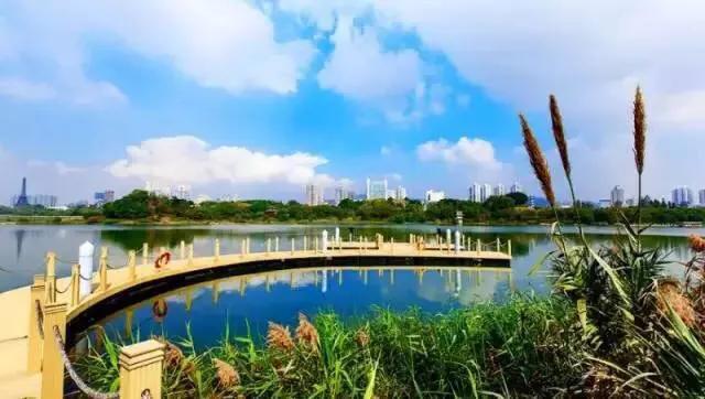 深圳免费公园哪里最好啊,深圳十大免费公园景点大全