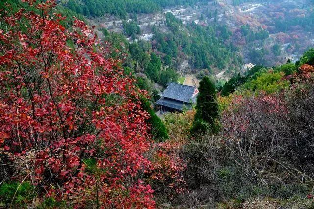 济南旅游景点推荐带孩子玩,济南旅游景点推荐适合带孩子