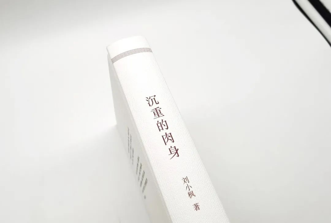 书讯|《沉重的肉身》