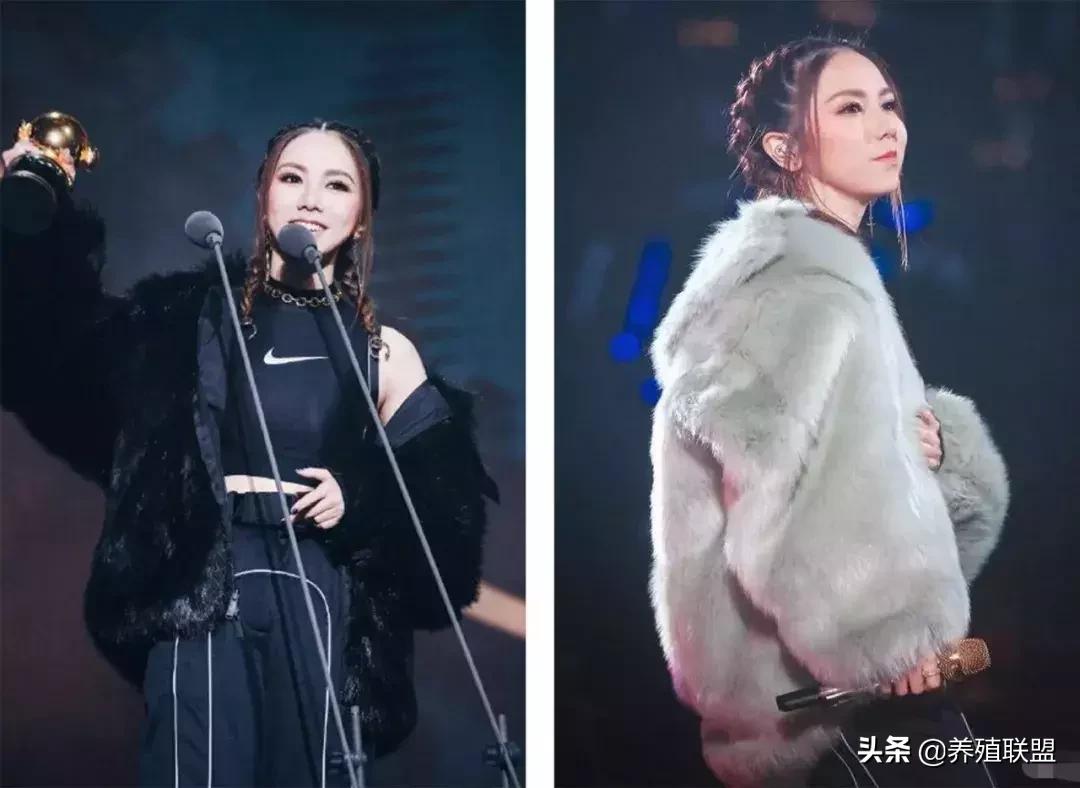 几千和几百的皮衣,一千块可以买什么档次的皮草