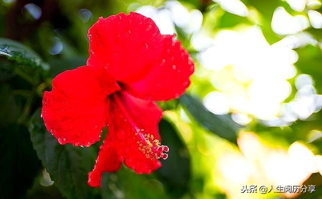 人生格言正能量励志名句简短,励志短句正能量名人名言