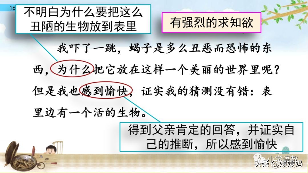 六年级下册语文表里的生物朗诵,六年级下册表里的生物小练笔400字