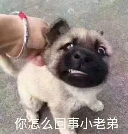 闲鱼卖货赚钱攻略,闲鱼闲置衣服怎么卖