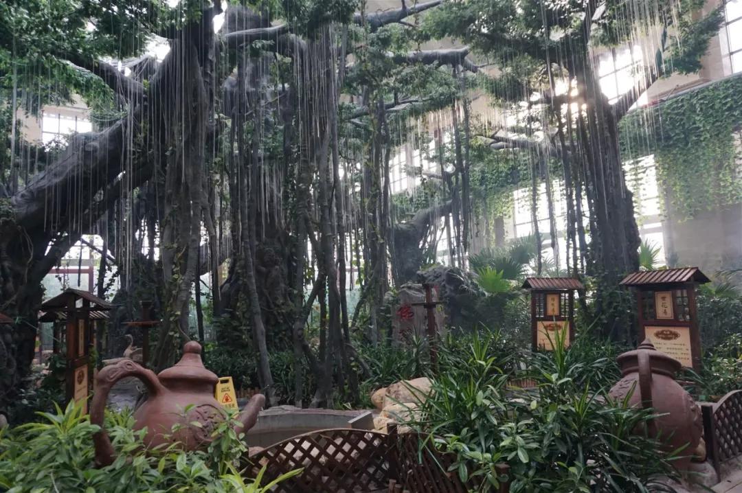 在夏季,还可以泡温泉吗?天津这几座温泉值得一试