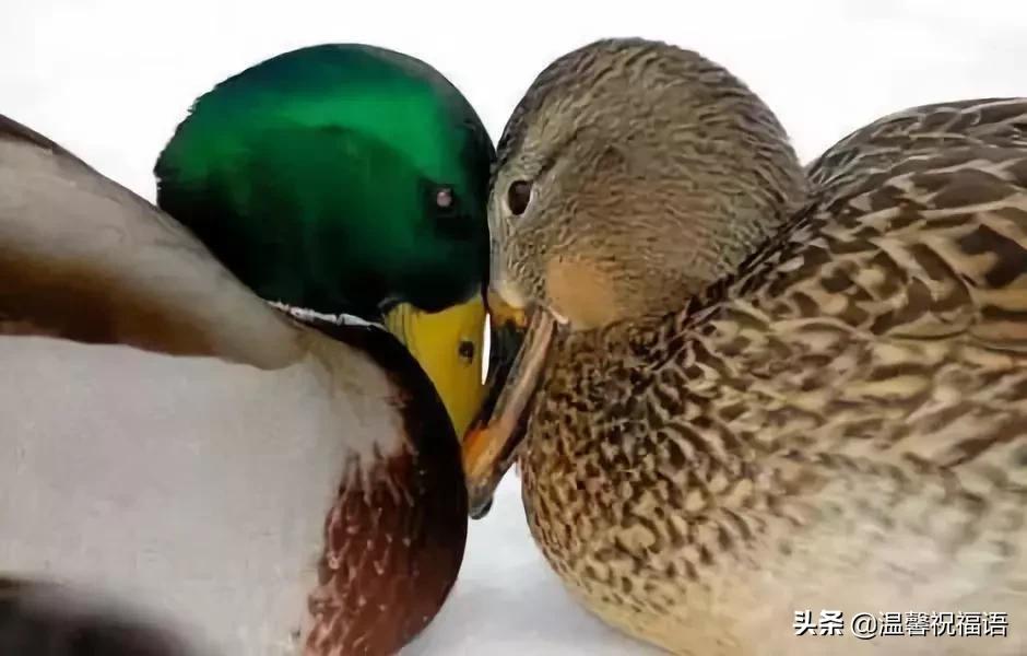 今天3月10，我的妈呀！谁编的，太好笑了，给群里乐一乐