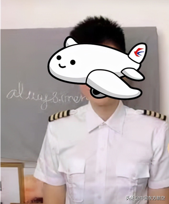 飞行员打假事件,飞行员评判标准