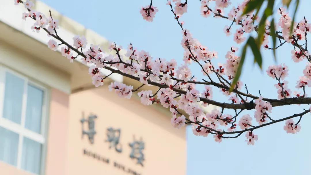 江苏财经大学,南京财经大学双非院校排名