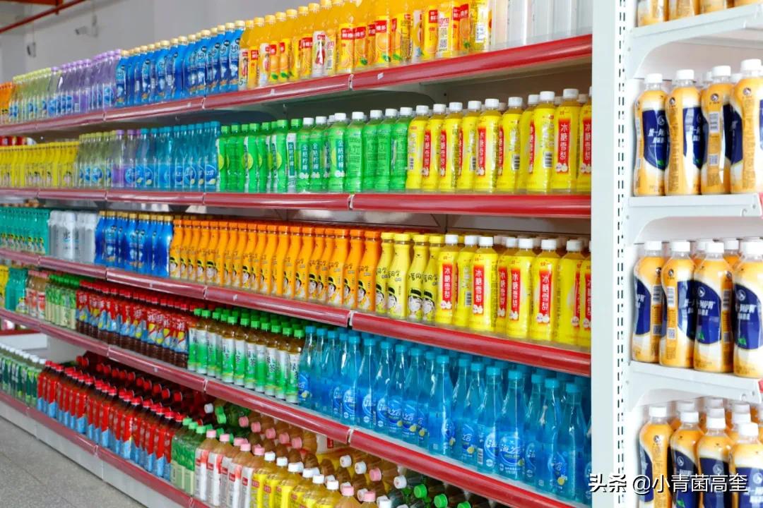 云南曲靖会泽县茚旺高中致远中学高一新生及补习班招生简章来啦