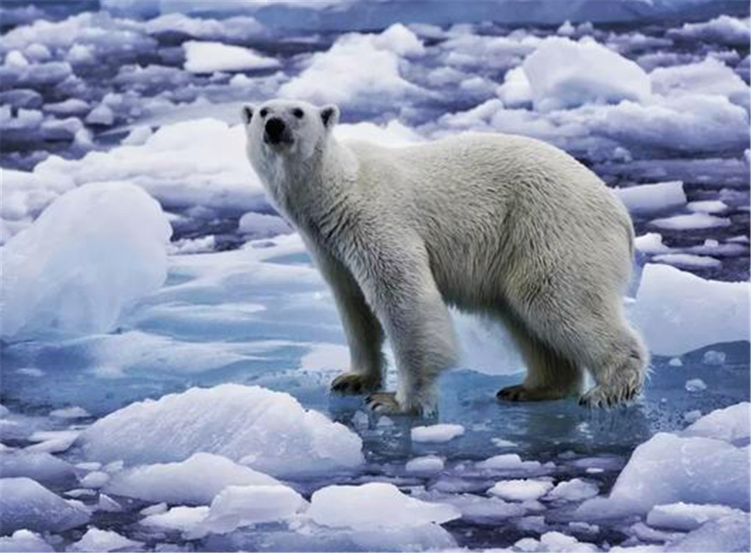 玻璃的危害是塑料的四倍,专家讲解塑料对人的危害