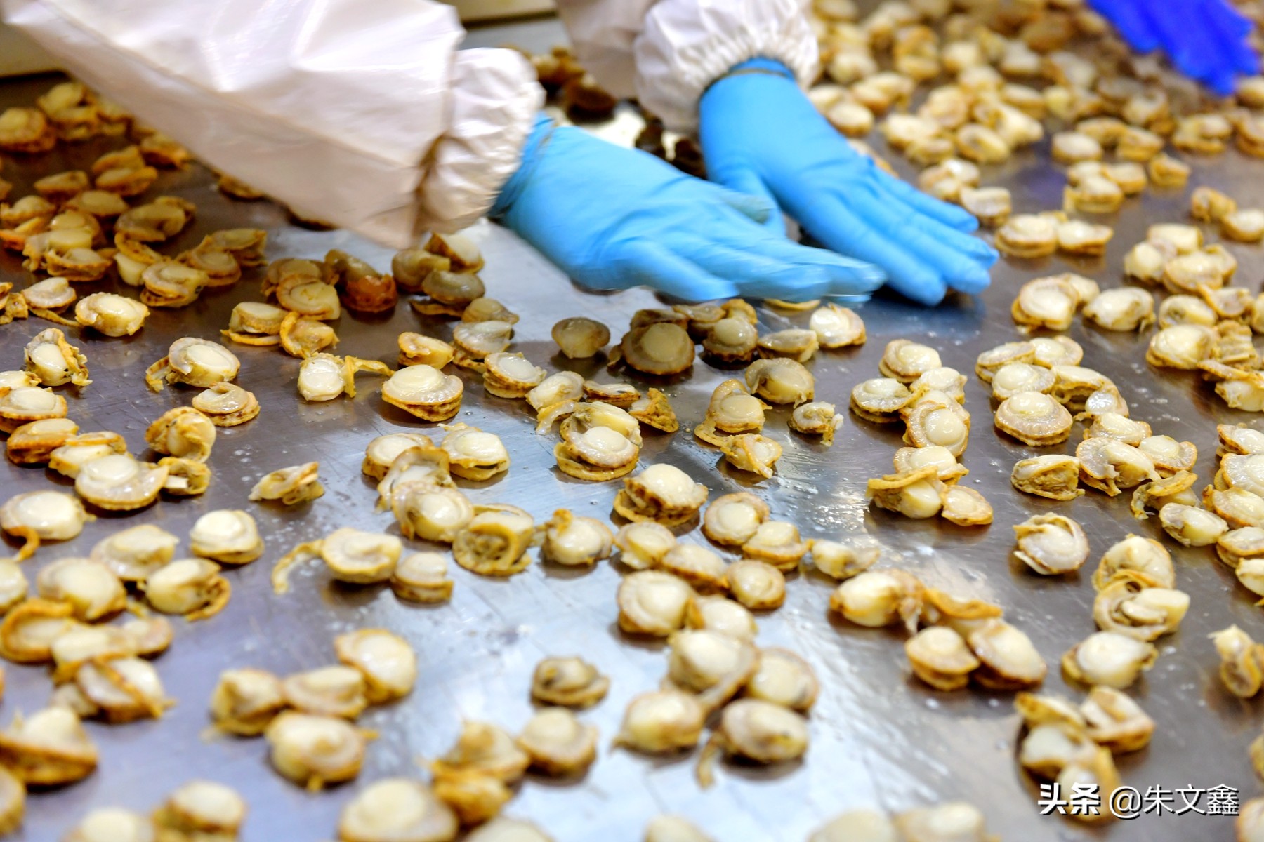 獐子岛海鲜品质是全国最好吗,獐子岛海鲜有什么