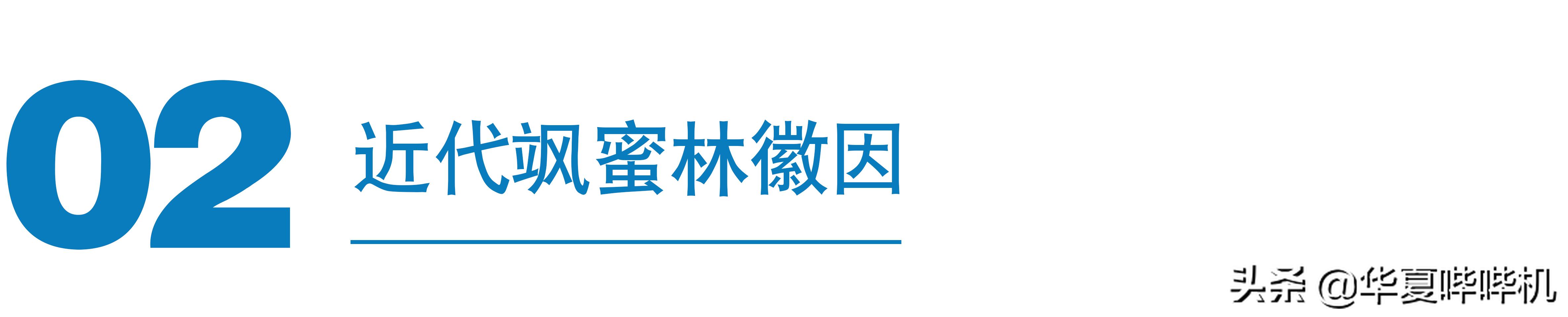 大飒蜜介绍,大飒蜜是哪个明星