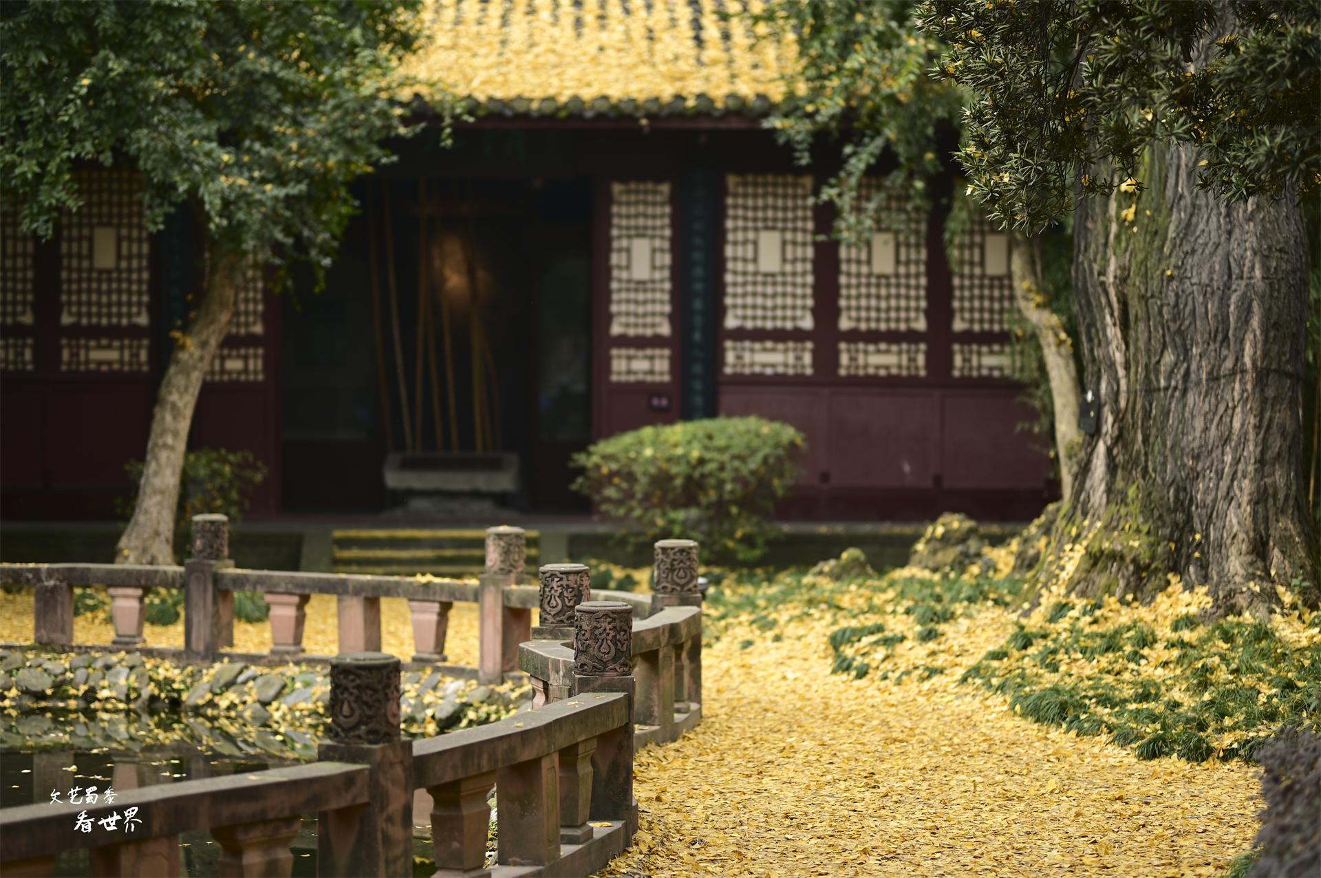 3-4天成都旅游详细攻略,周末去成都的旅游攻略大全